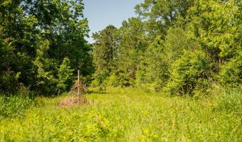 1311 N Jackson St, Brookhaven, MS 39601