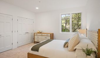 302 Wild Spring Ln, Basalt, CO 81621