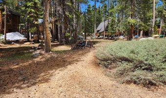 99 Monty Wolf Rd, Bear Valley, CA 95223