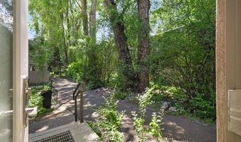 814 W Bleeker St B2, Aspen, CO 81611