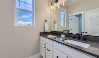 4223 Crestone Peak St Plan: Artisan 3, Brighton, CO 80601