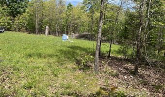 County Road P-309, Alton, MO 65606