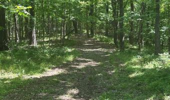 10515 Paw Paw Springs Rd, Arrington, TN 37014