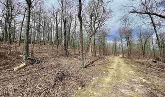 10028 Hwy 66, Alco, AR 72680