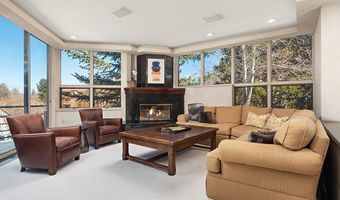 208 S Spring St #1, Aspen, CO 81611