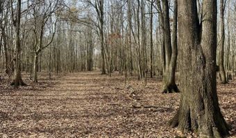Putnam Road, Belzoni, MS 39038
