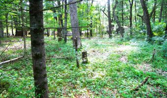 W4643 S Pearl Lake Road, Redgranite, WI 54970