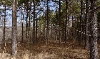 000 County Road U-105A, Ava, MO 65608