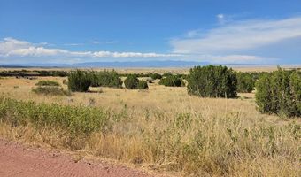 Pope Valley Ranch Rd lot 24, Beulah, CO 81023