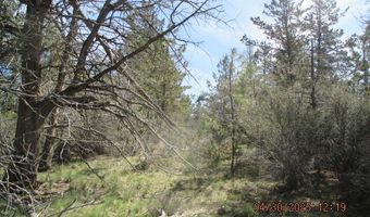 Jaguar Lane Lot 29, Bonanza, OR 97623