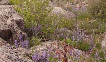 3434 Davis Ranch Rd, Bellvue, CO 80512