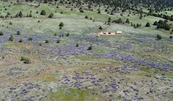 848 County Rd, Adin, CA 96006