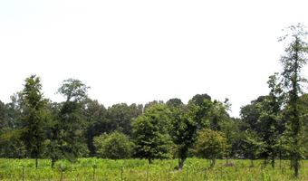 138 Little River 183, Ashdown, AR 71822