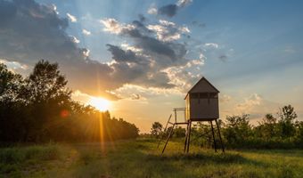 225 CR 3303, De Kalb, TX 75559