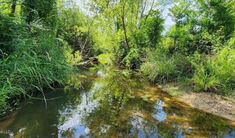 3350 SE Mount Pleasant Ln, Bogue Chitto, MS 39629