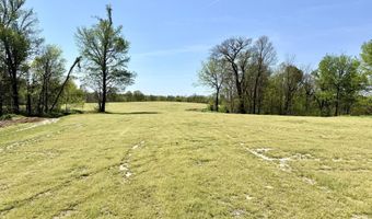 378 County Road 1219, Bardwell, KY 42023