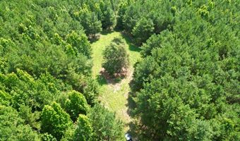 County Road 127, Banks, AL 36005