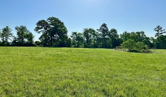 Tract 1 Sullivan Drive, Apple Springs, TX 75926
