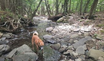 Upper Dingle Hill Road, Andes, NY 13731