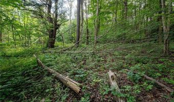 County Road 2, Addison, NY 14801