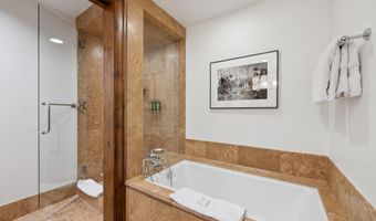 415 E Dean St Unit 15 Week 33, Aspen, CO 81611