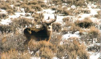 41 MARSH CREEK Rd, Cora, WY 82925
