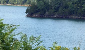 955 Livingston Boat Dock Rd, Allons, TN 38541
