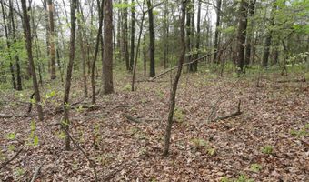 Long Branch Lane, Bee Branch, AR 72013