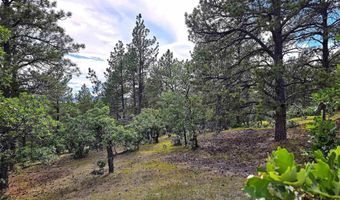 3159 Mona Rd, Aladdin, WY 82710