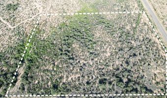 Lot E W Dragoon Road, Cochise, AZ 85606