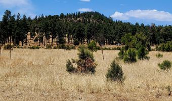 Tbd STONE CREEK RD CR 2117, Alpine, AZ 85920