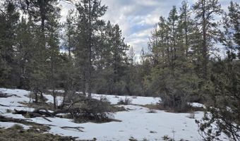 Jaguar Lane lot 7 & 8, Bonanza, OR 97623