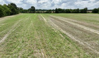 290 CR, Asbury, MO 64832