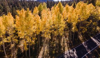 403 Sierra Pkwy, Camp Connell, CA 95223