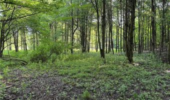 749 Green Rd, Alfred, NY 14803