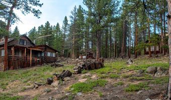 1217 Big Owl Rd, Allenspark, CO 80510