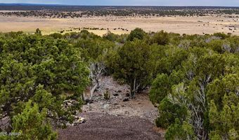 37 Co Rd N8174 10.1 Acres, Concho, AZ 85924
