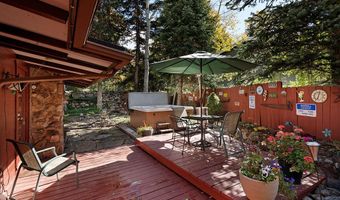 311 Midland Ave, Aspen, CO 81611