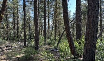 Sandpiper Ln, Beatty, OR 97621