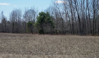 5840 Wildwood Rd, Alger, MI 48610