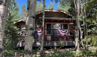 124 Ski Rd, Allenspark, CO 80510