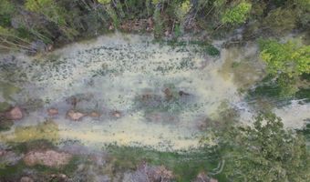 Gun Baoyu Road, Belzoni, MS 39038