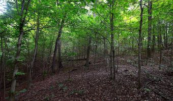 State Route 550, Amesville, OH 45711