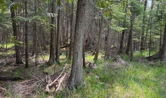 Banwell Road, Alanson, MI 49706