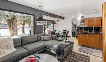 814 W Bleeker St E4, Aspen, CO 81611
