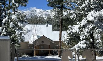 106 Donkey Ct, Alto, NM 88312