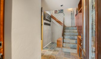 650 S Monarch St 9, Aspen, CO 81611