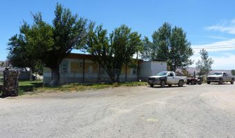 51955 Wilder Creek Rd, Denio, NV 89404