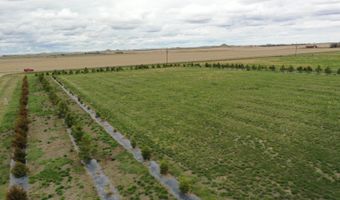 906 7th St NW, Bowman, ND 58623