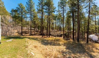 460 E Valley View Dr, Bayfield, CO 81122